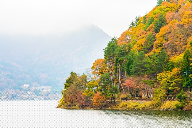 選擇適合自己的高收益副業項目，助力財富增長！ - DeepSeek-DeepSeek